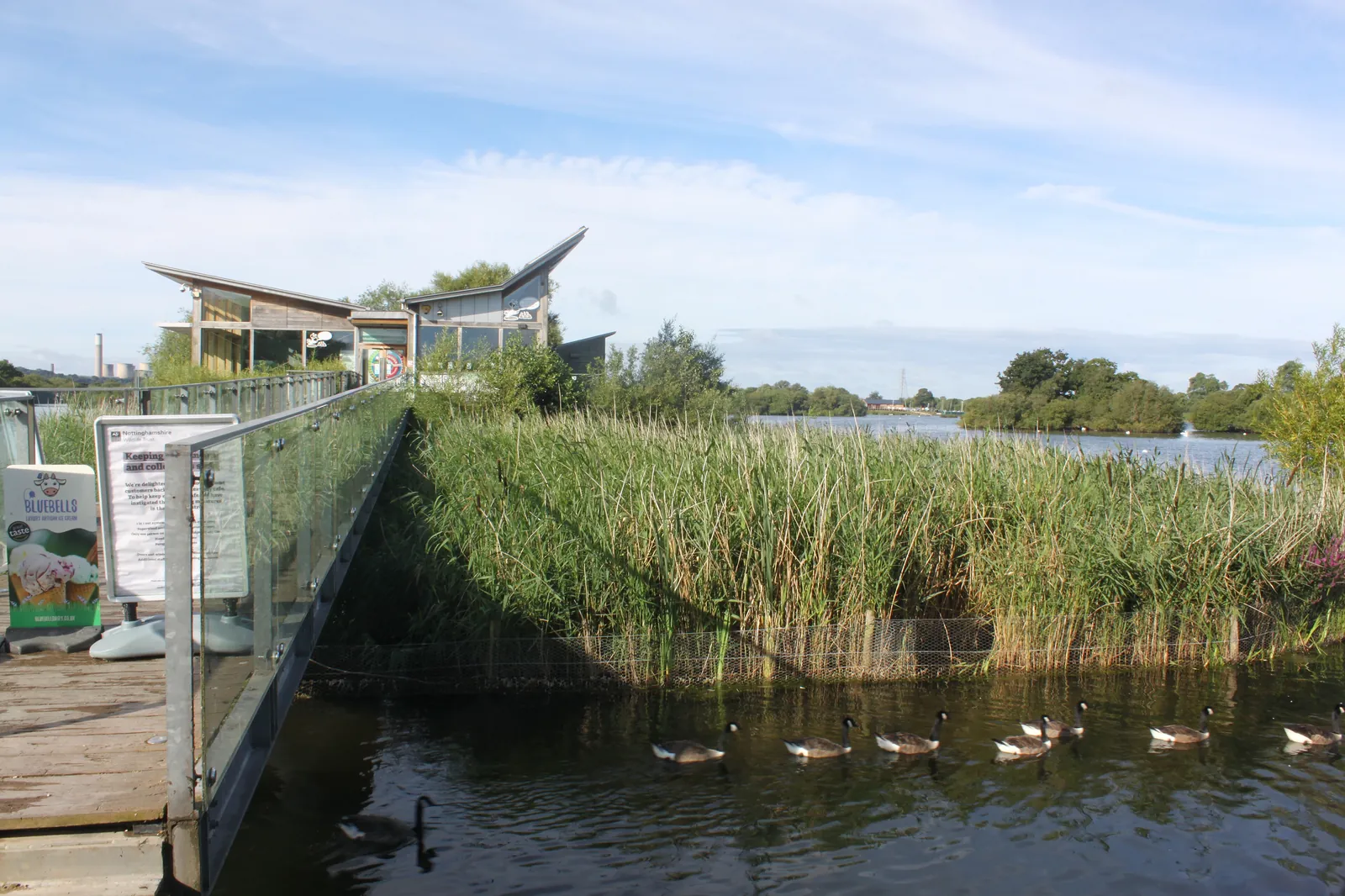 The visitor centre at Attenborough Nature Reserve, with geese on the water and reeds beside the boardwalk